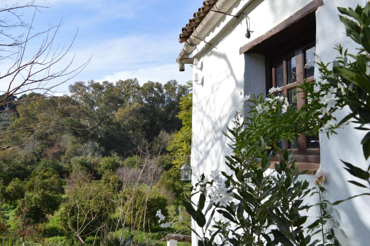 Casa Rural Ahoraya El Colmenar Exterior photo